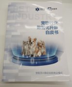 智灵创始人刘聪凯