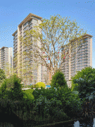 <strong>契合年轻人健康潮</strong>