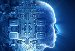 高能智投APP供给股